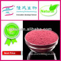 Natural Food Condiment Red Yeast Rice
